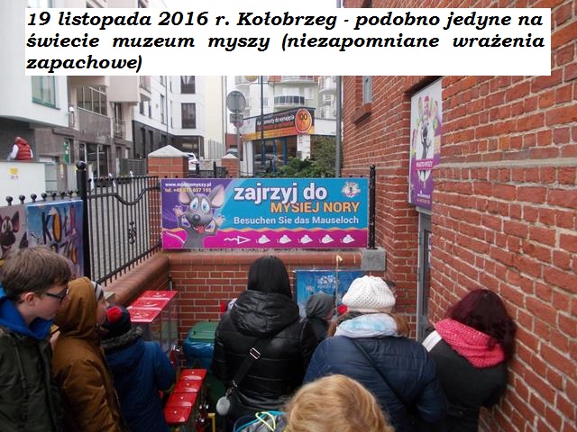 Kolobrzeg_3